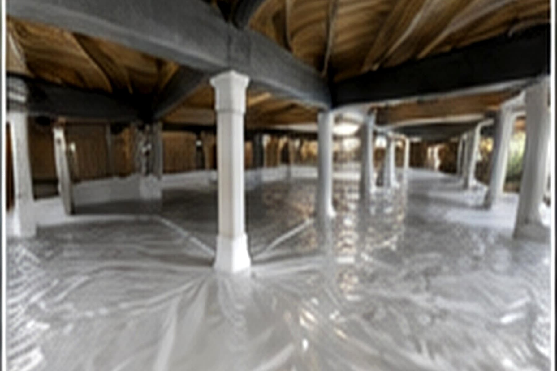 pest control representative residential service image